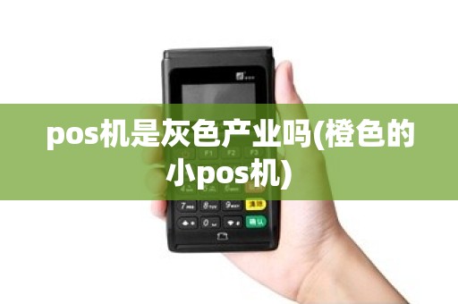 pos机是灰色产业吗(橙色的小pos机)
