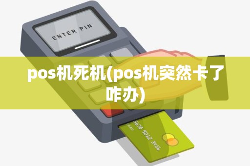 pos机死机(pos机突然卡了咋办)