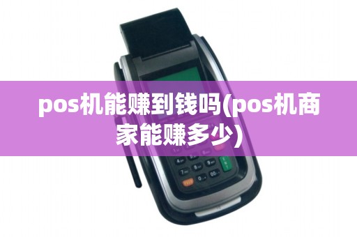 pos机能赚到钱吗(pos机商家能赚多少)