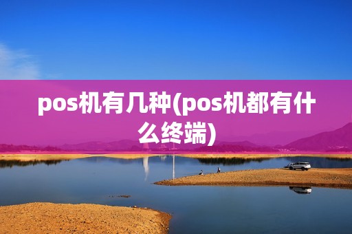 pos机有几种(pos机都有什么终端)