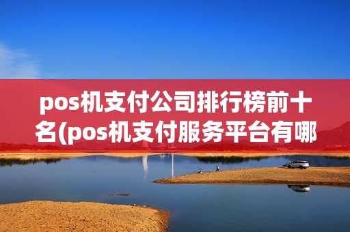 pos机支付公司排行榜前十名(pos机支付服务平台有哪些)