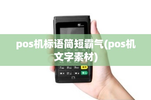 pos机标语简短霸气(pos机文字素材)