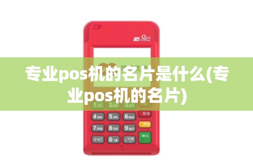 专业pos机的名片是什么(专业pos机的名片)