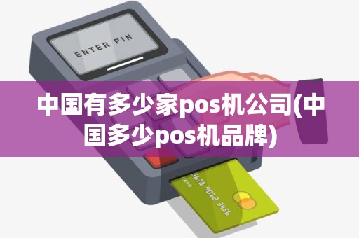 中国有多少家pos机公司(中国多少pos机品牌)