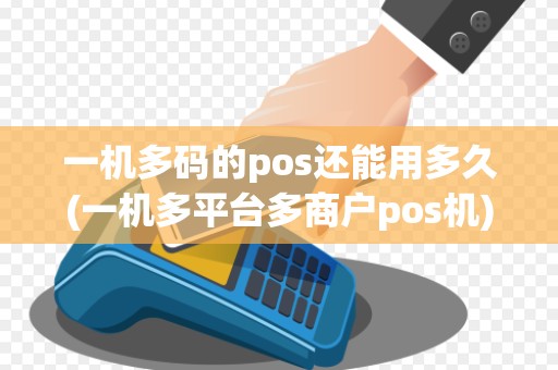 一机多码的pos还能用多久(一机多平台多商户pos机)