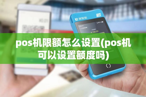 pos机限额怎么设置(pos机可以设置额度吗)
