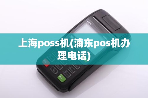 上海poss机(浦东pos机办理电话)