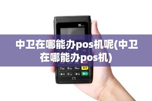 中卫在哪能办pos机呢(中卫在哪能办pos机)
