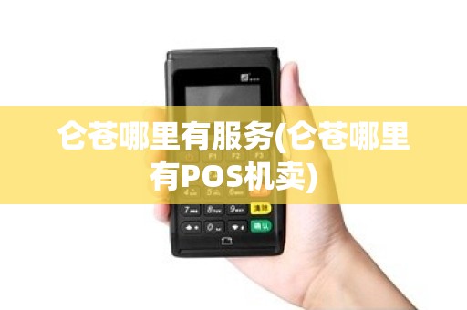 仑苍哪里有服务(仑苍哪里有POS机卖)