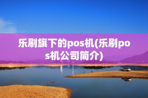 乐刷旗下的pos机(乐刷pos机公司简介)