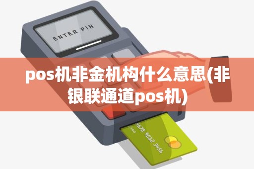 pos机非金机构什么意思(非银联通道pos机)