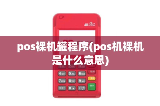 pos裸机罐程序(pos机裸机是什么意思)