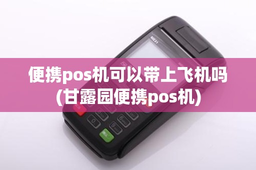 便携pos机可以带上飞机吗(甘露园便携pos机)