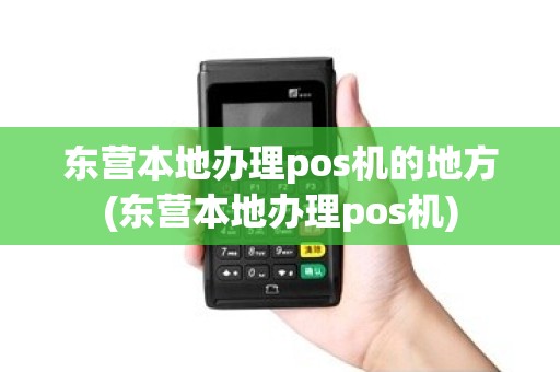 东营本地办理pos机的地方(东营本地办理pos机)