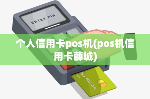 个人信用卡pos机(pos机信用卡薛城)