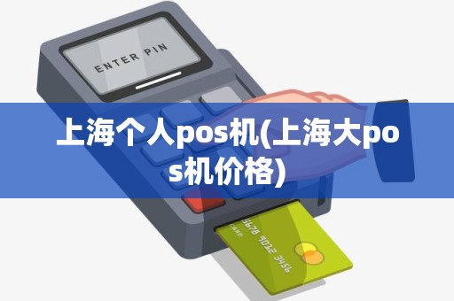 上海个人pos机(上海大pos机价格)