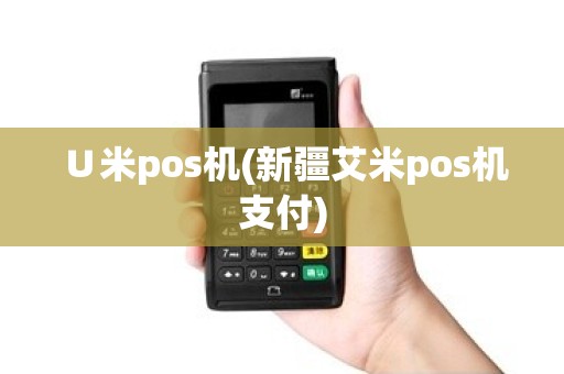 ∪米pos机(新疆艾米pos机支付)