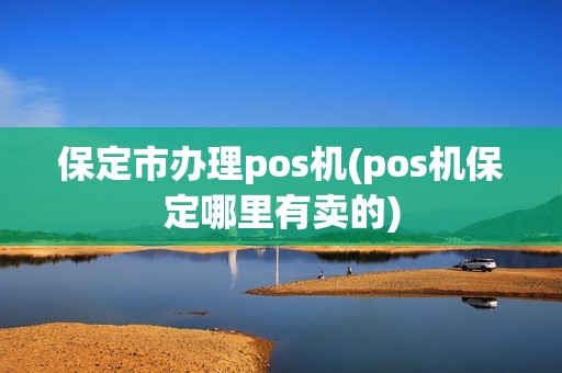 保定市办理pos机(pos机保定哪里有卖的)