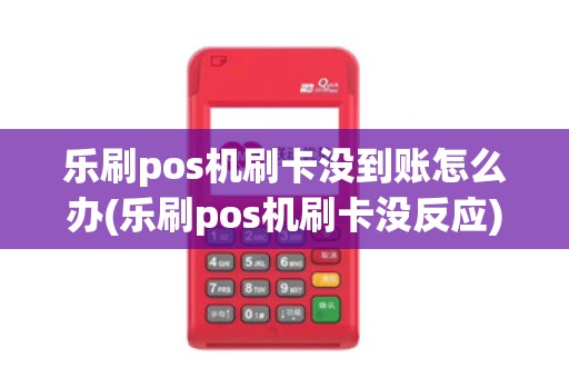 乐刷pos机刷卡没到账怎么办(乐刷pos机刷卡没反应)
