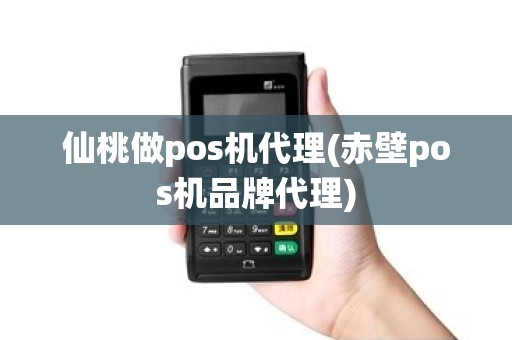 仙桃做pos机代理(赤壁pos机品牌代理)