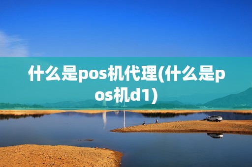 什么是pos机代理(什么是pos机d1)