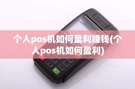 个人pos机如何盈利赚钱(个人pos机如何盈利)