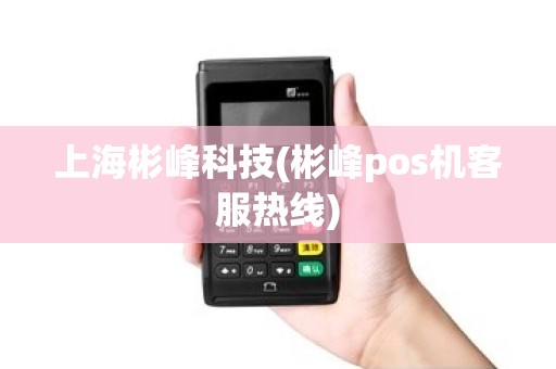 上海彬峰科技(彬峰pos机客服热线)