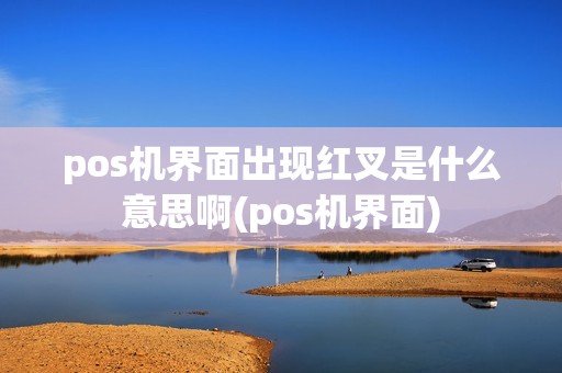pos机界面出现红叉是什么意思啊(pos机界面)