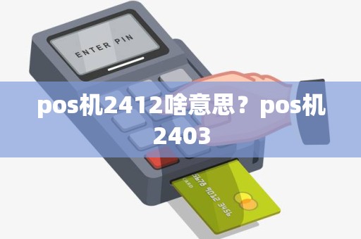 pos机2412啥意思？pos机2403