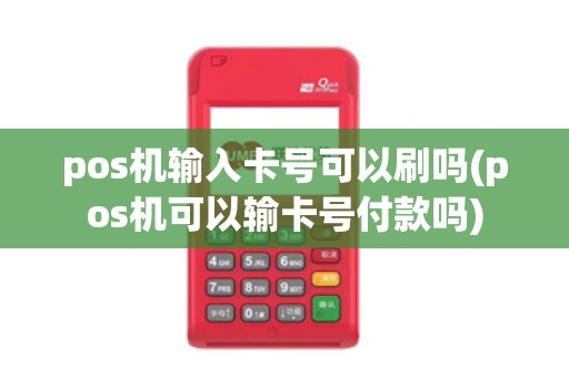 pos机输入卡号可以刷吗(pos机可以输卡号付款吗)