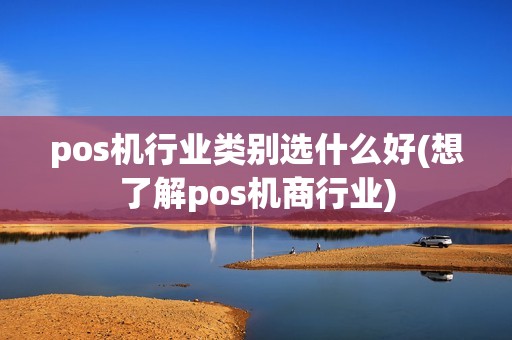 pos机行业类别选什么好(想了解pos机商行业)