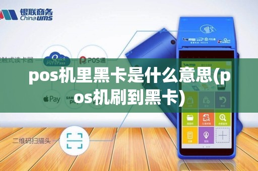 pos机里黑卡是什么意思(pos机刷到黑卡)