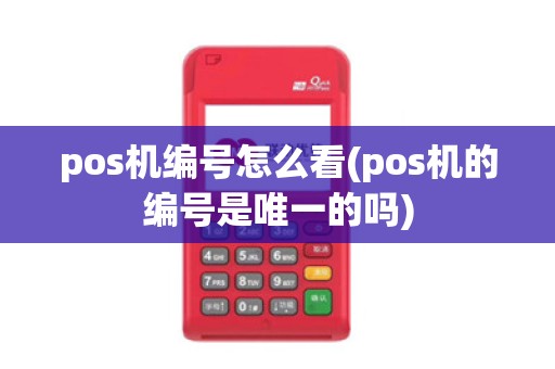 pos机编号怎么看(pos机的编号是唯一的吗)