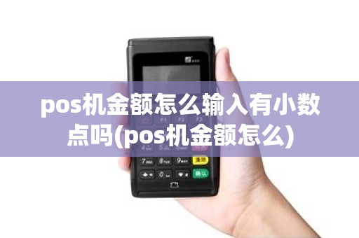 pos机金额怎么输入有小数点吗(pos机金额怎么)