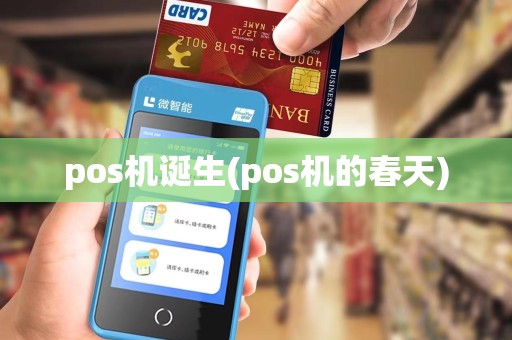 pos机诞生(pos机的春天)