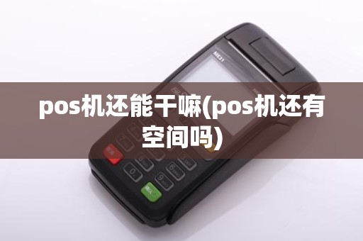 pos机还能干嘛(pos机还有空间吗)