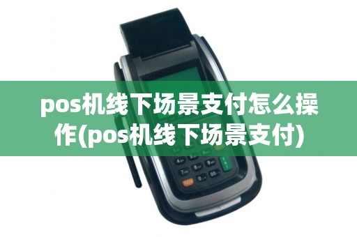 pos机线下场景支付怎么操作(pos机线下场景支付)