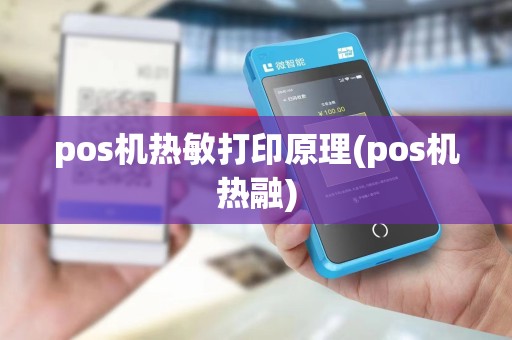 pos机热敏打印原理(pos机热融)