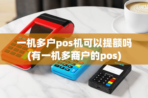 一机多户pos机可以提额吗(有一机多商户的pos)