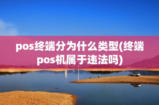 pos终端分为什么类型(终端pos机属于违法吗)