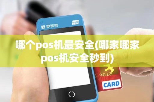 哪个pos机最安全(哪家哪家pos机安全秒到)