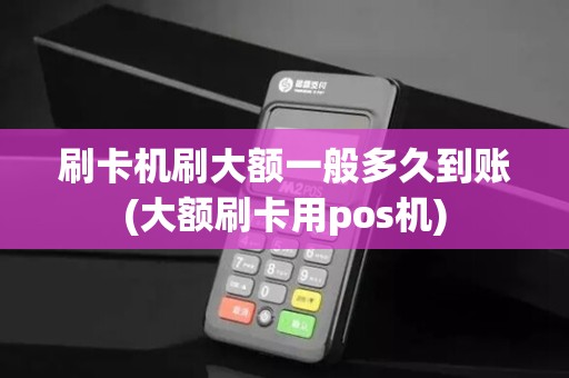 刷卡机刷大额一般多久到账(大额刷卡用pos机)