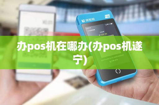 办pos机在哪办(办pos机遂宁)