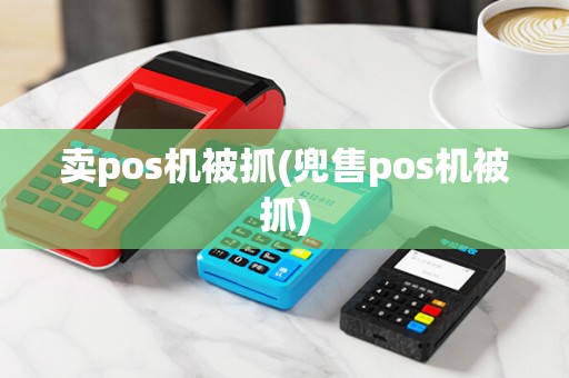 卖pos机被抓(兜售pos机被抓)