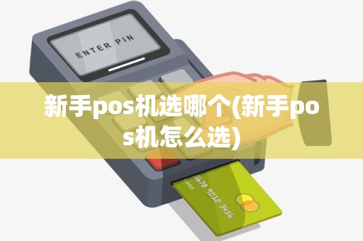 新手pos机选哪个(新手pos机怎么选)