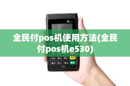 全民付pos机使用方法(全民付pos机e530)