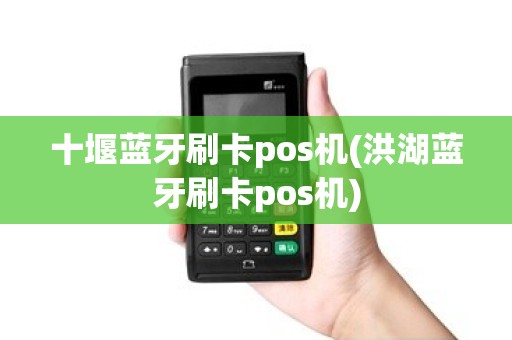 十堰蓝牙刷卡pos机(洪湖蓝牙刷卡pos机)