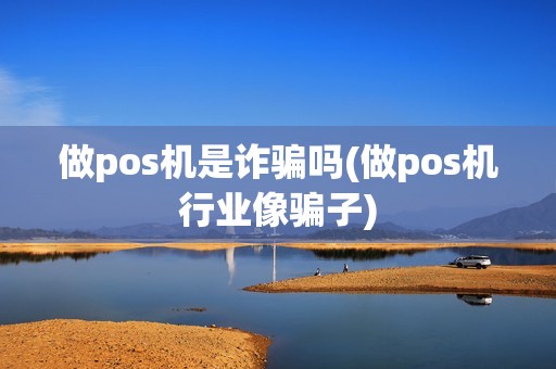 做pos机是诈骗吗(做pos机行业像骗子)