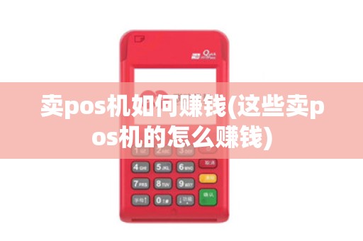 卖pos机如何赚钱(这些卖pos机的怎么赚钱)