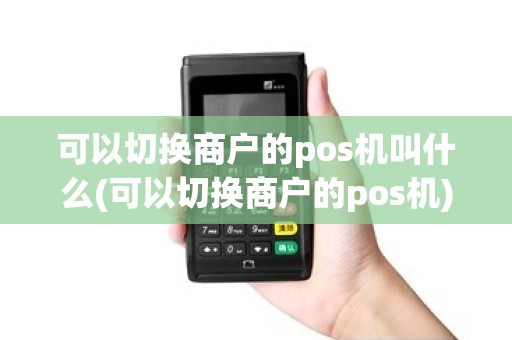 可以切换商户的pos机叫什么(可以切换商户的pos机)